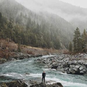 Essential Bundle 394
